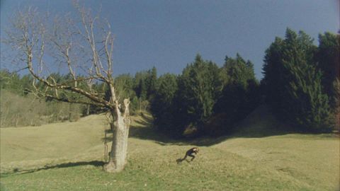 WilderinvomMonafon