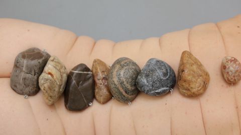 Stonespine