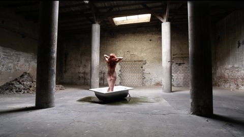 Desmodontiae