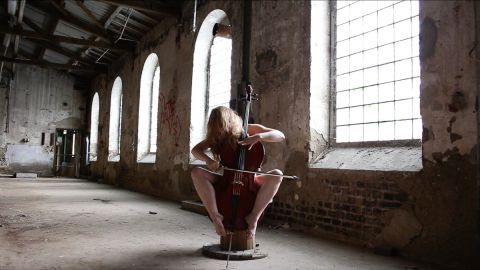 Desmodontiae