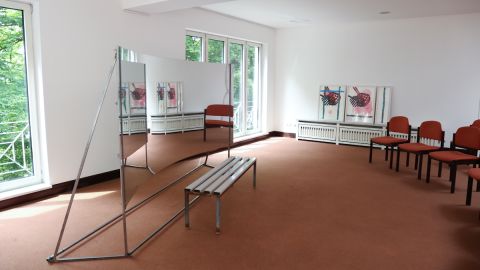Kraftkörper