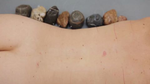 Stonespine