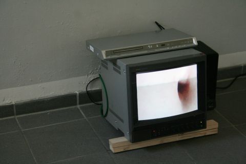 HImbeereis