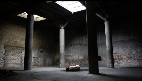 Desmodontiae