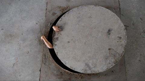 Desmodontiae