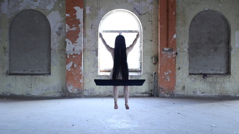 Desmodontiae