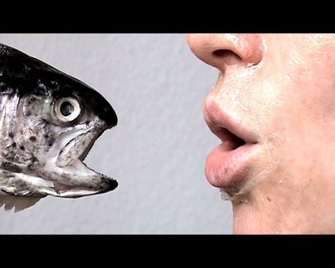 fischeln