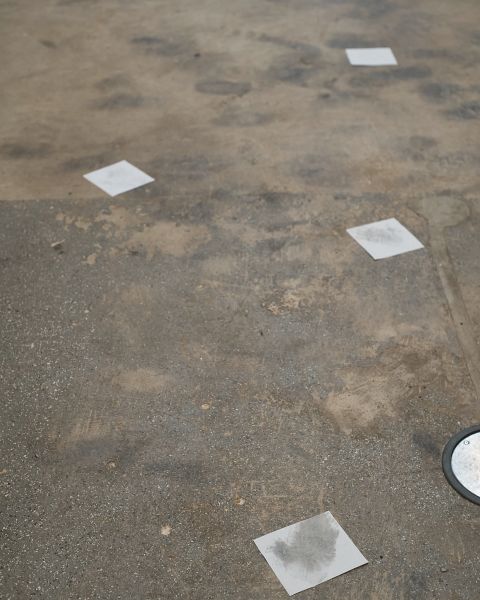 Inside Performance 