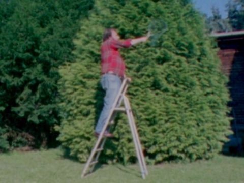 Michael