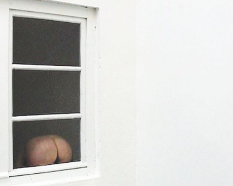 Stiegenfenster