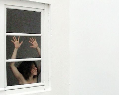 Stiegenfenster