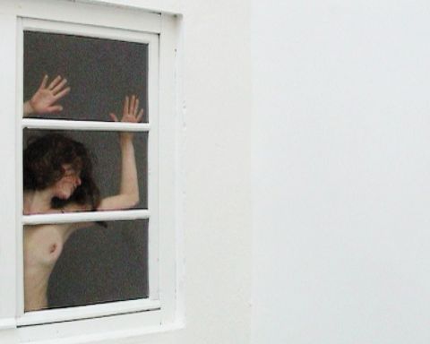 Stiegenfenster