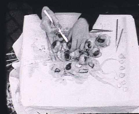 Perlentaucherin