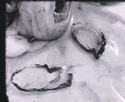 Perlentaucherin