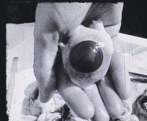 Perlentaucherin